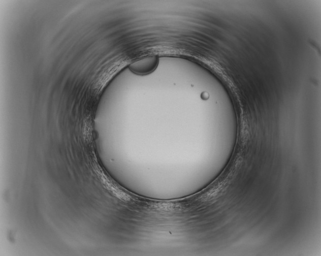 X0000100330897200806261259