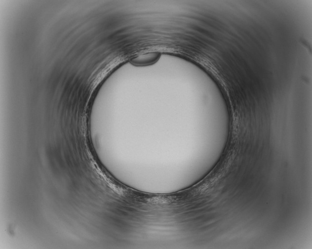 X0000100330898200806261259