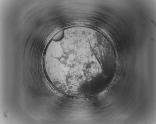 X0000100330899200806261259