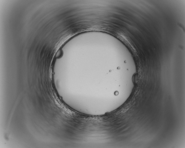 X0000100330900200806261259