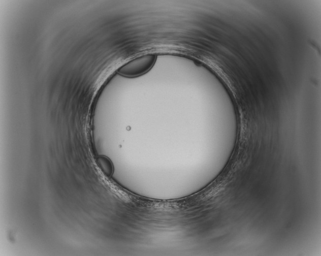 X0000100330901200806261259