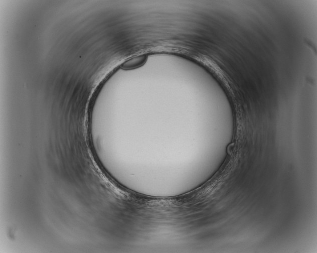 X0000100330902200806261259