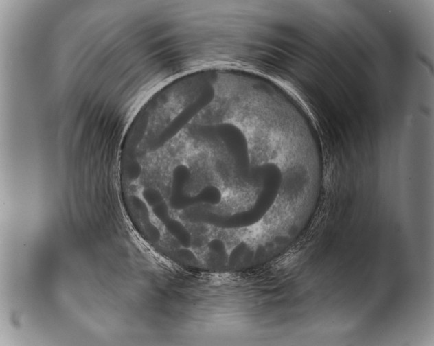 X0000100330903200806261259