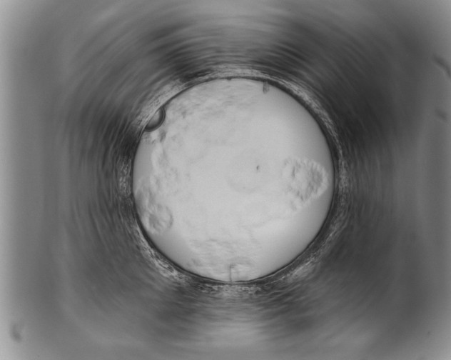 X0000100330905200806261259