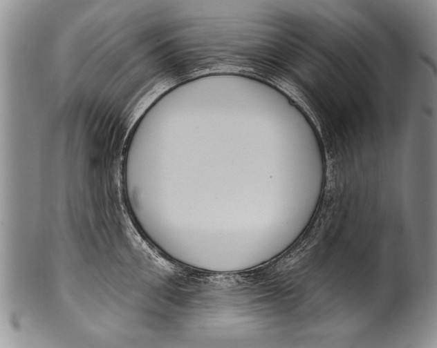 X0000100330906200806261259