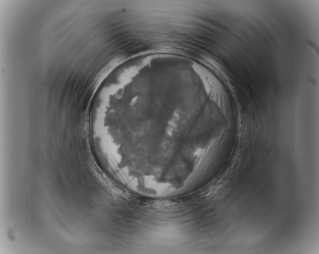 X0000100330907200806261259