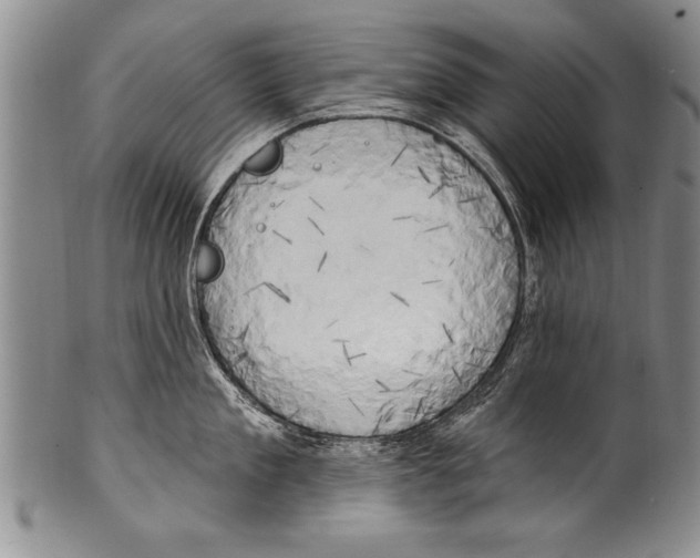 X0000100330909200806261259