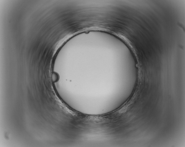 X0000100330910200806261259