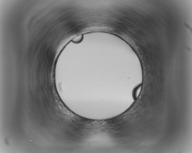 X0000100330912200806261259