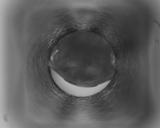 X0000100330913200806261258