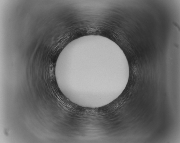 X0000100330914200806261258