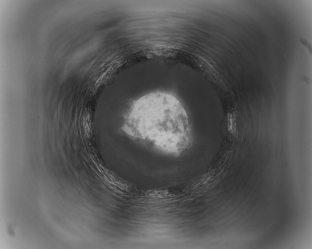 X0000100330915200806261258