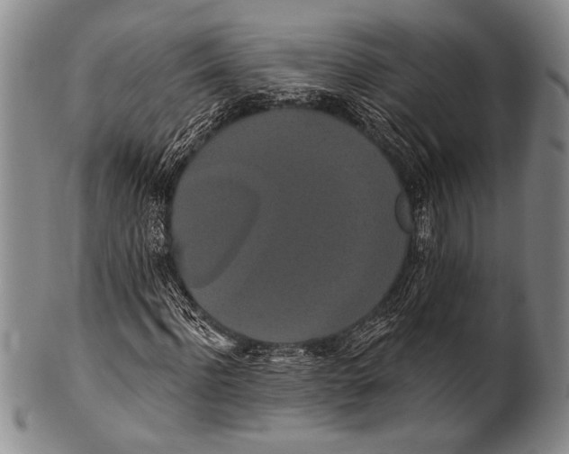 X0000100330916200806261258