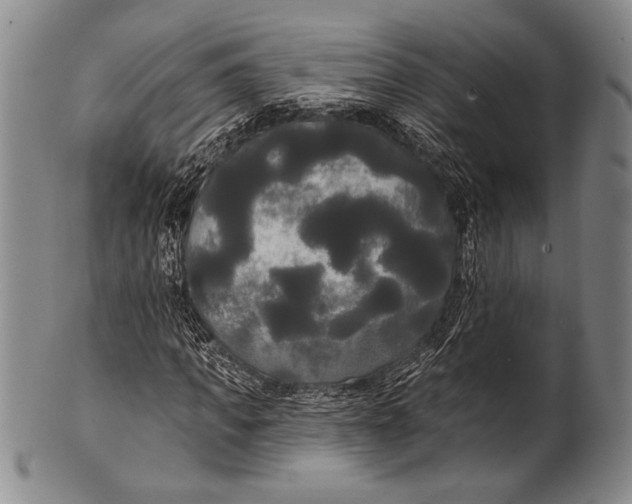 X0000100330917200806261258