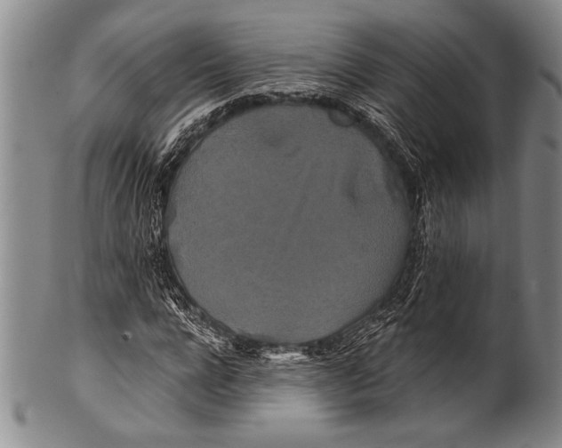 X0000100330920200806261258