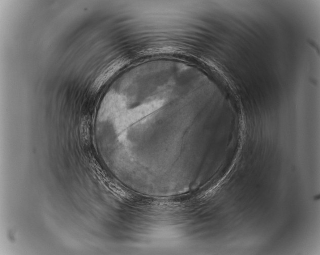 X0000100330921200806261258