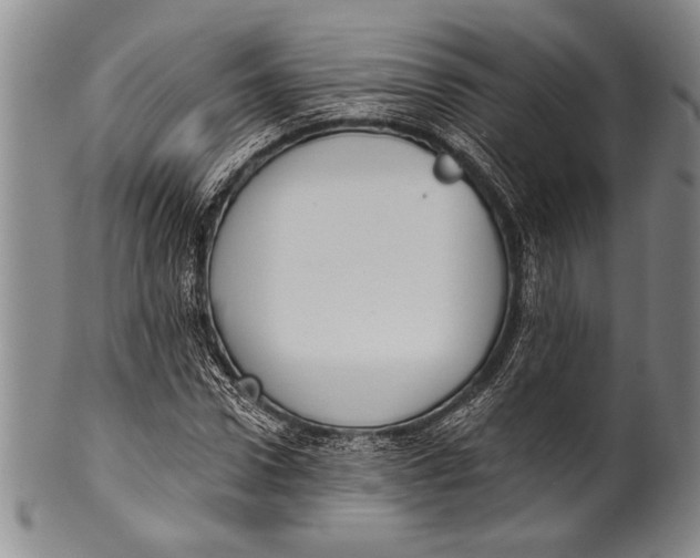 X0000100330922200806261258