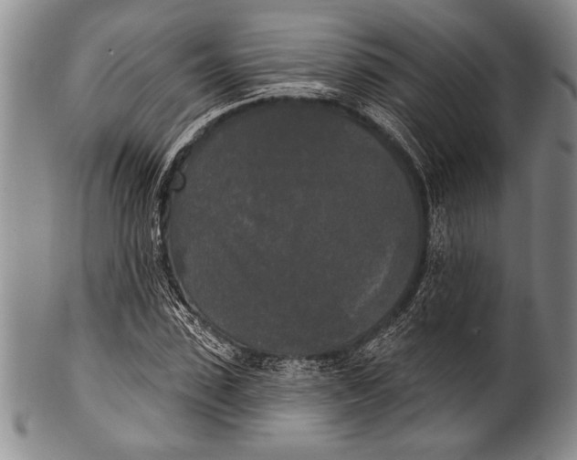 X0000100330923200806261258