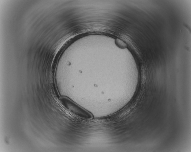 X0000100330924200806261258