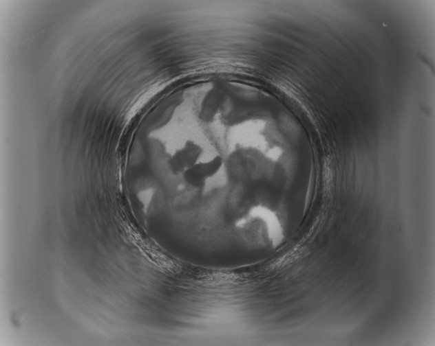 X0000100330925200806261258