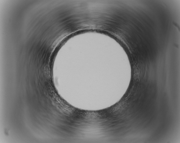 X0000100330927200806261258