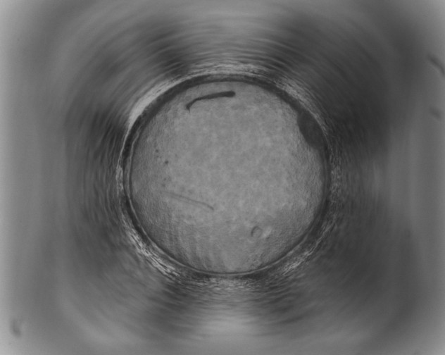 X0000100330928200806261258