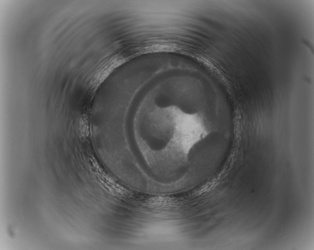 X0000100330929200806261258