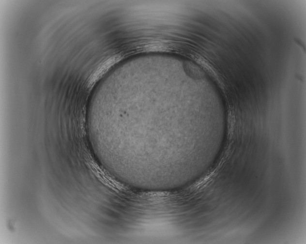 X0000100330930200806261258