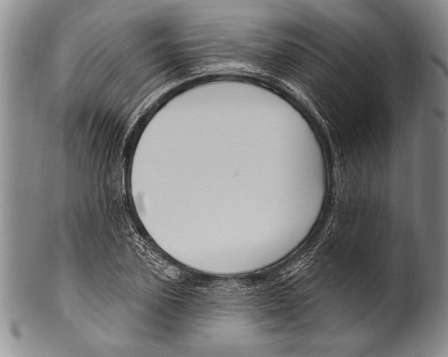 X0000100330931200806261258