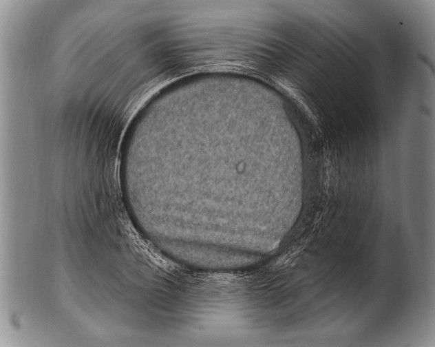 X0000100330932200806261258