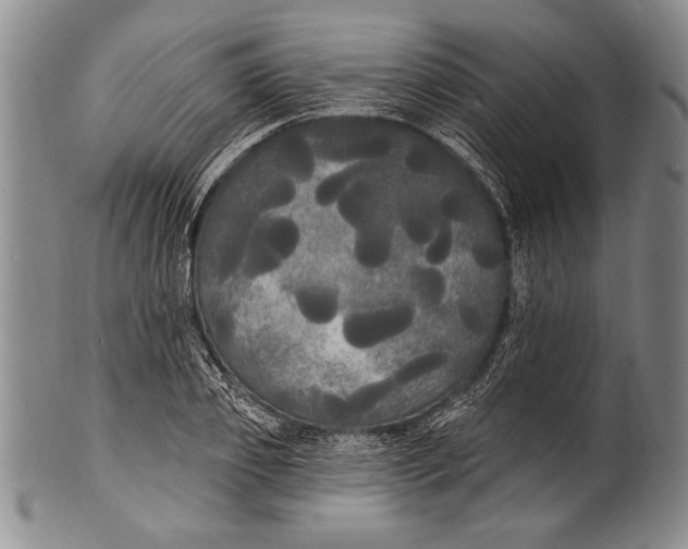 X0000100330933200806261258