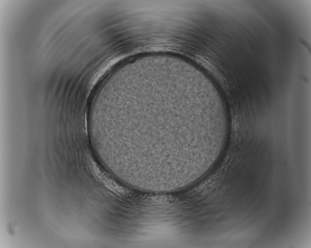 X0000100330934200806261258