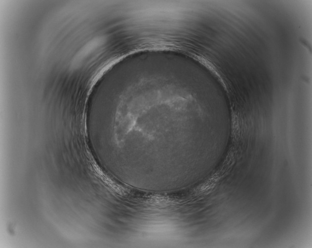 X0000100330935200806261258