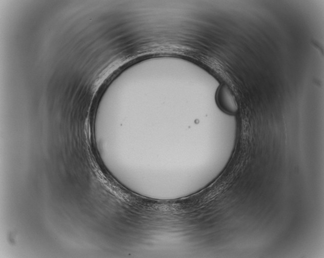 X0000100330936200806261258