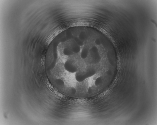 X0000100330937200806261258