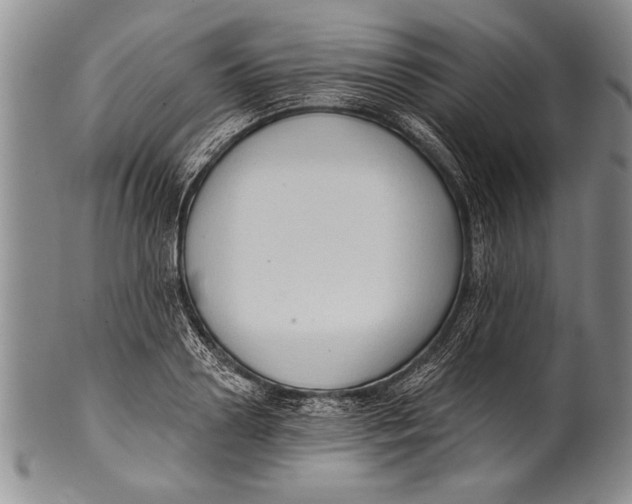 X0000100330938200806261258