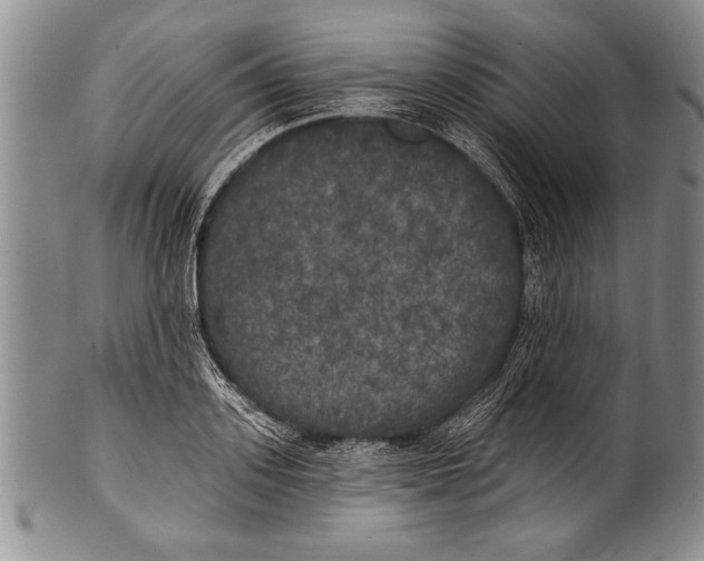 X0000100330939200806261258