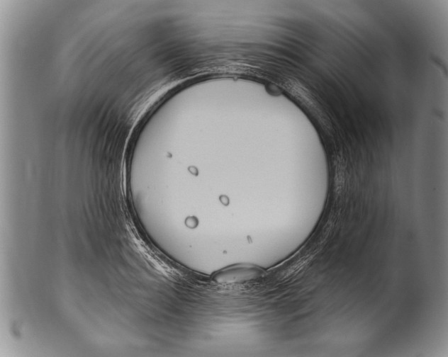 X0000100330940200806261258