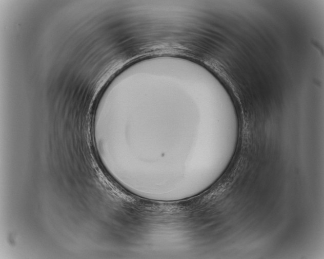 X0000100330941200806261258