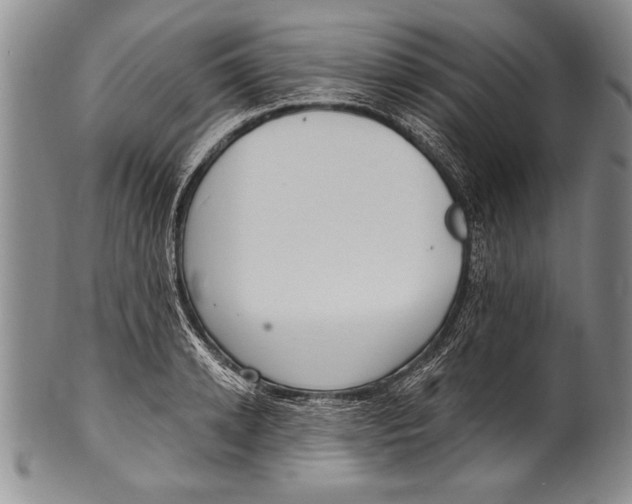 X0000100330942200806261258