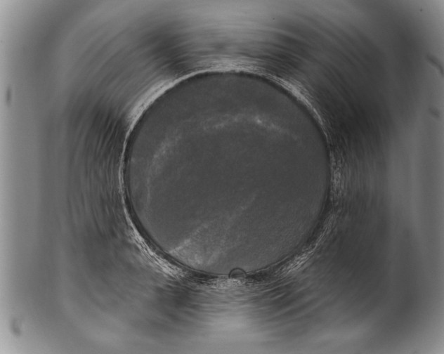 X0000100330943200806261258