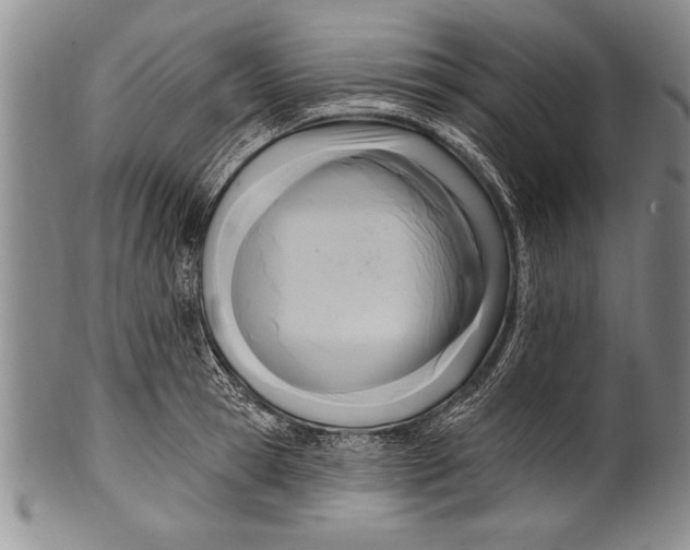 X0000100330945200806261258