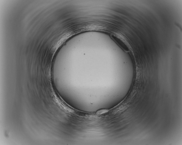 X0000100330946200806261258