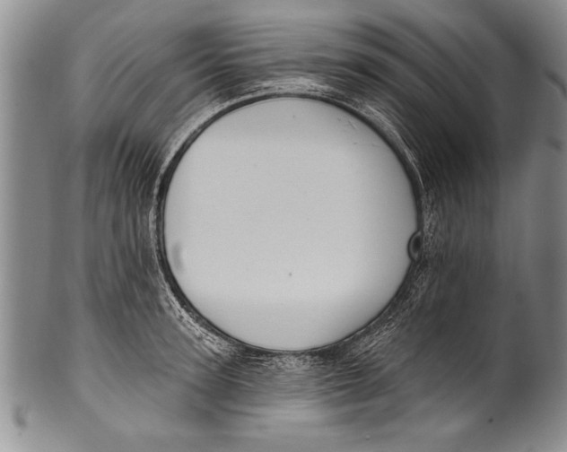 X0000100330947200806261258