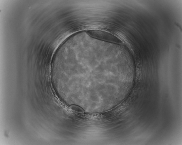 X0000100330948200806261258