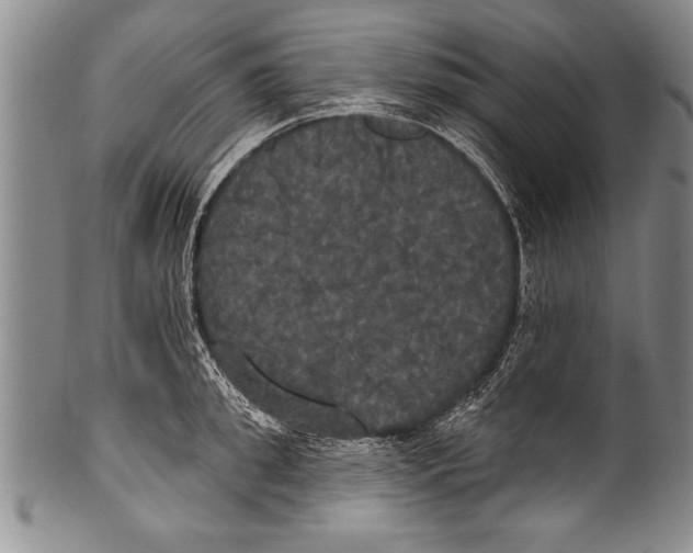 X0000100330949200806261258