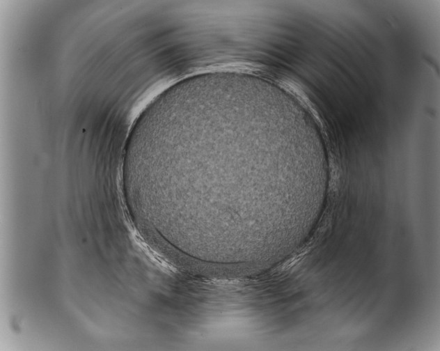 X0000100330952200806261258