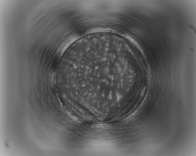 X0000100330953200806261258