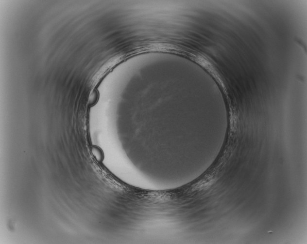 X0000100330954200806261258