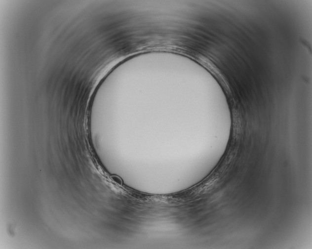 X0000100330956200806261258